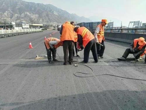 田阳道路桥梁病害治理